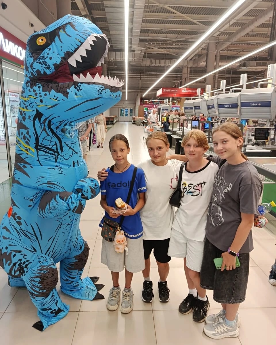 Участники и зоны фестиваля